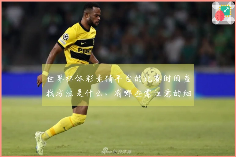 世界杯体彩竞猜平台的比赛时间查找方法是什么，有哪些需注意的细节？