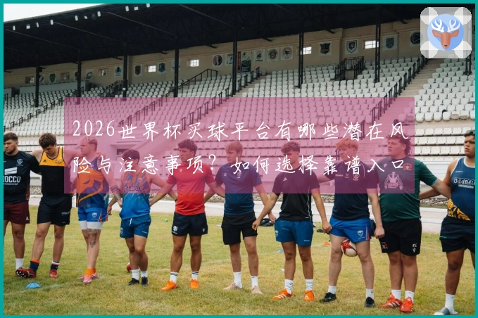 2026世界杯买球平台有哪些潜在风险与注意事项？如何选择靠谱入口？