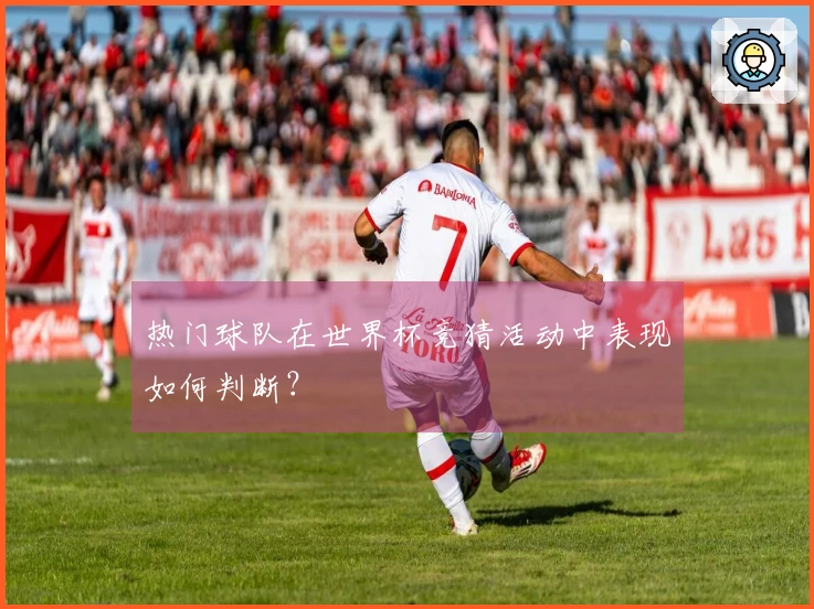 多多28文章配图