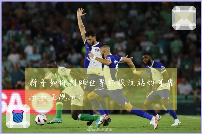 新手如何判断世界杯投注站的可靠性和正规性？