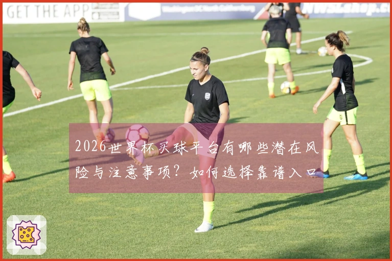 2026世界杯买球平台有哪些潜在风险与注意事项？如何选择靠谱入口？