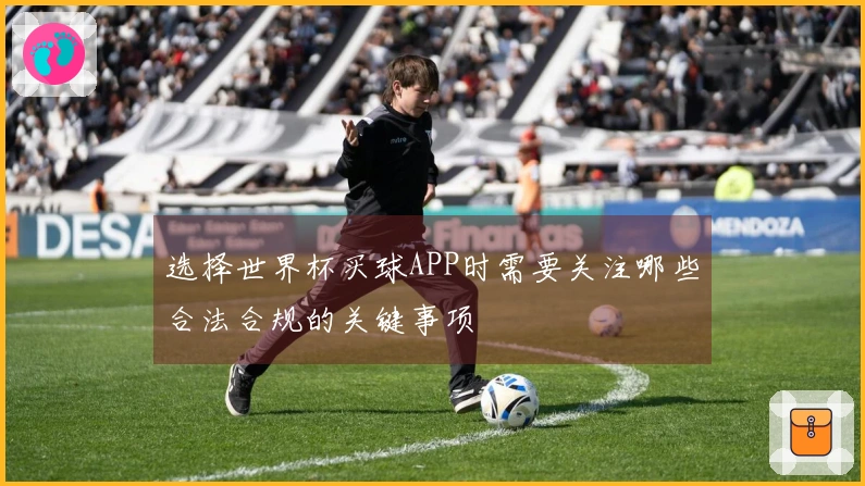选择世界杯买球APP时需要关注哪些合法合规的关键事项