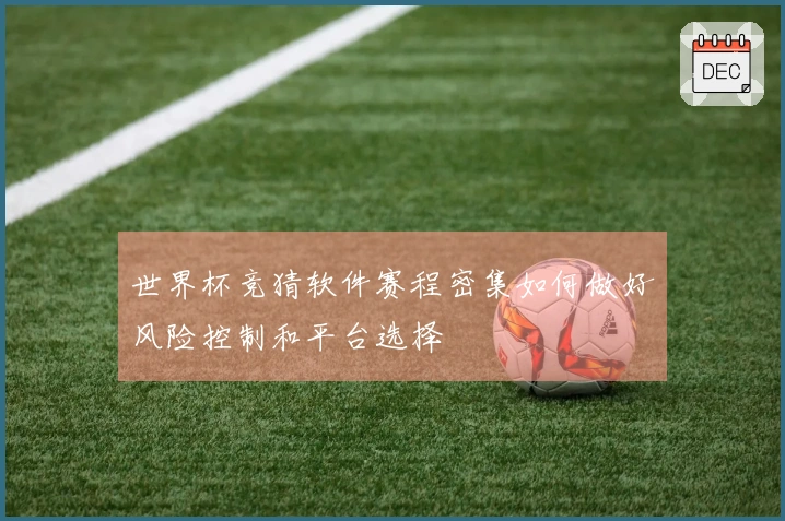 世界杯竞猜软件赛程密集如何做好风险控制和平台选择