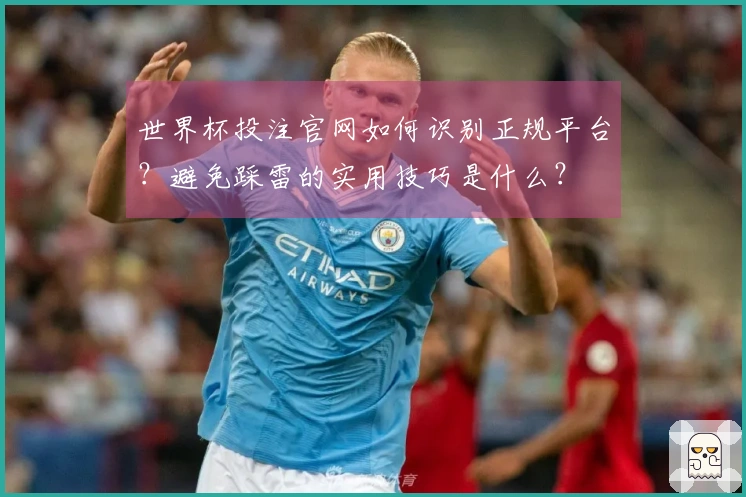 世界杯投注官网如何识别正规平台？避免踩雷的实用技巧是什么？