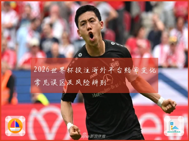 多多28文章配图