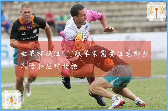 世界杯投注app跟单前需要注意哪些风险和应对措施