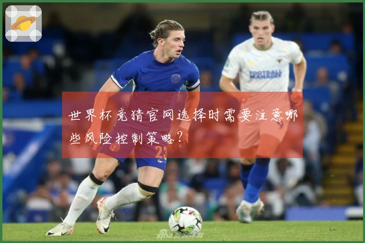 世界杯竞猜官网选择时需要注意哪些风险控制策略？